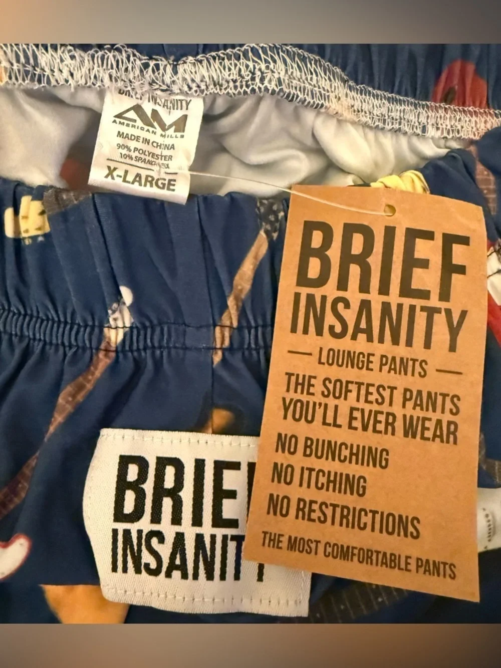 Brief Insanity 